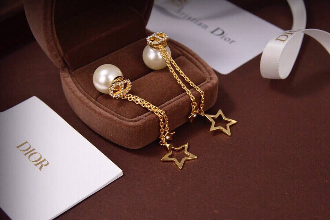Chr1st1an D10r Earring Copy