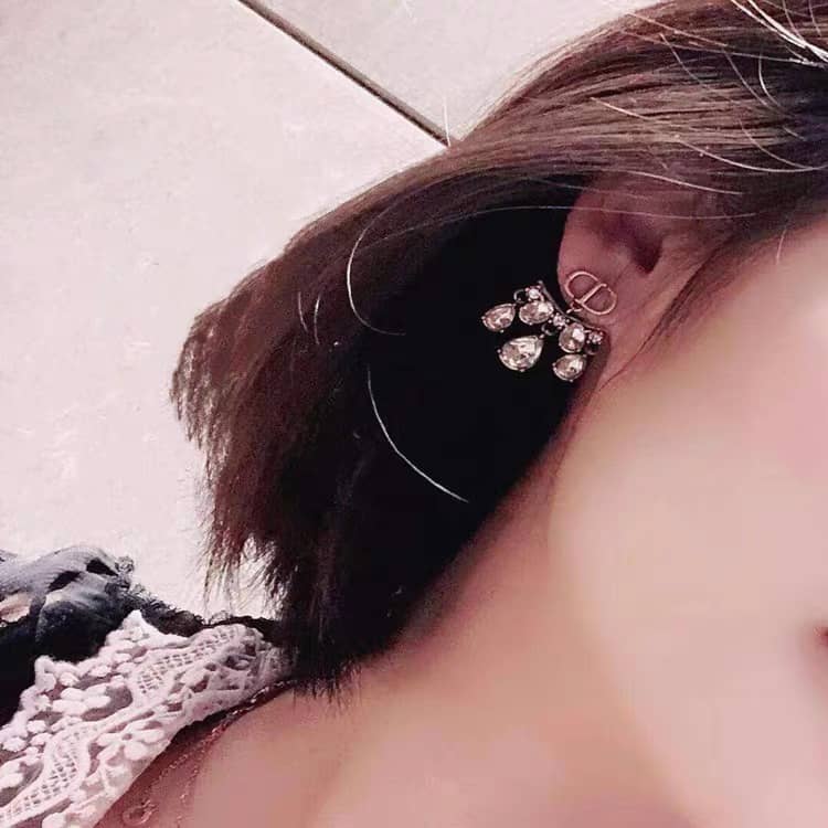 Wholesale Chr1st1an D10r AAA+ Earring