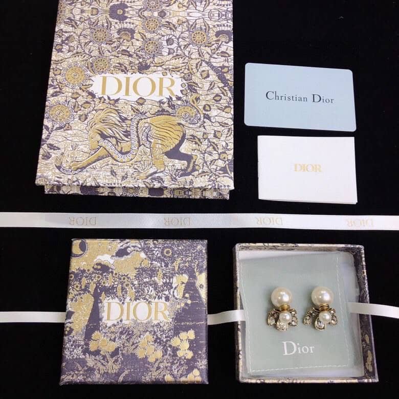 Knockoff Chr1st1an D10r Logo Earring