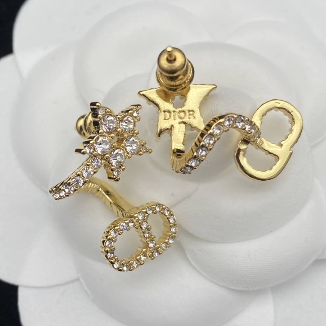 Fake Chr1st1an D10r Logo Earring