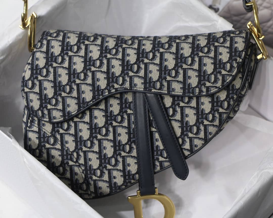 Chr1st1an D10r Saddle 25.5CM Replica Bag