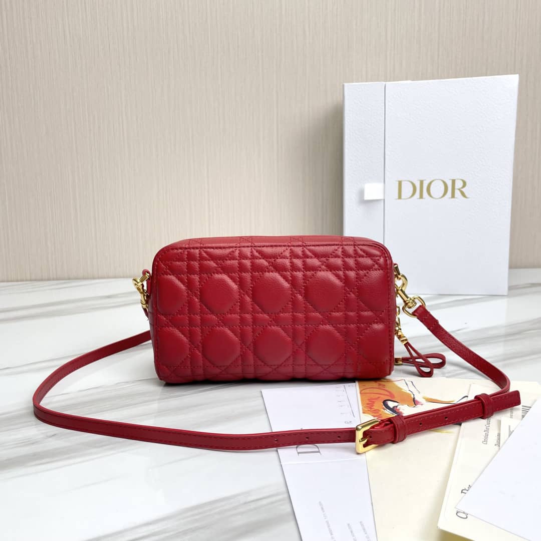 Chr1st1an D10r Caro Double Calfskin Pouch