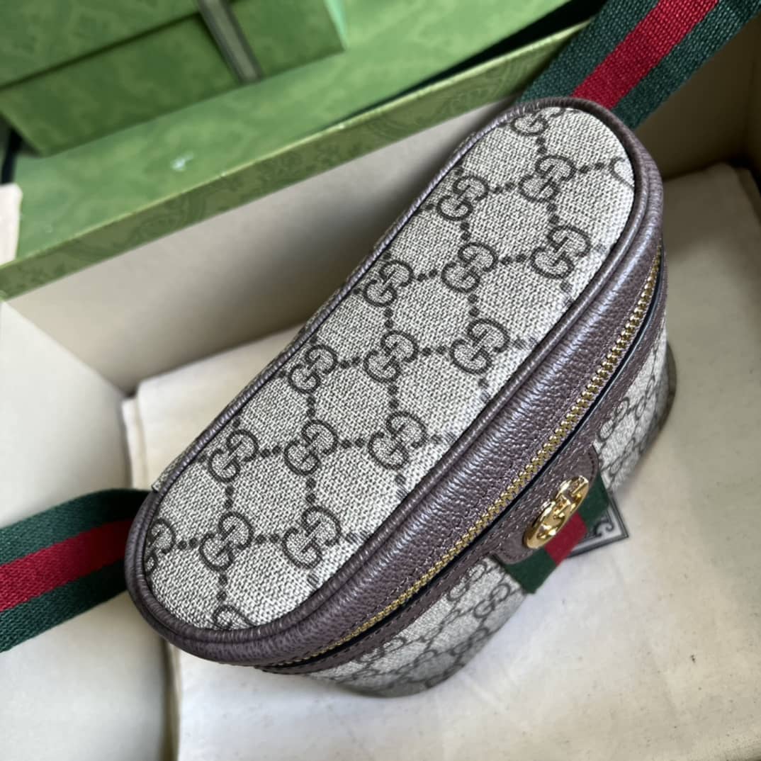 Gvc*1 Ophidia With Web 699765 Replica Belt Bag