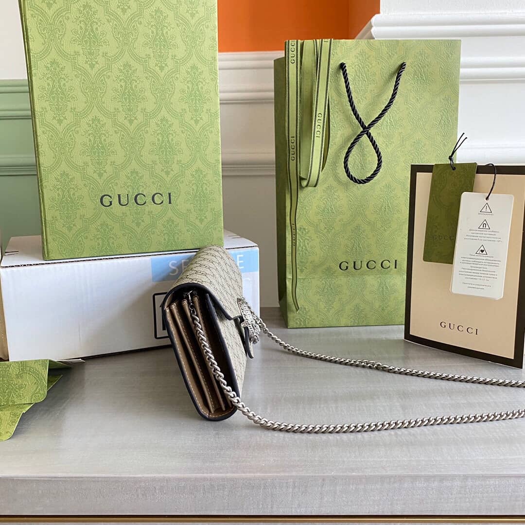 Gvc*1 Dionysus Chain Wallet Shoulder Bag Replica Brown 401231