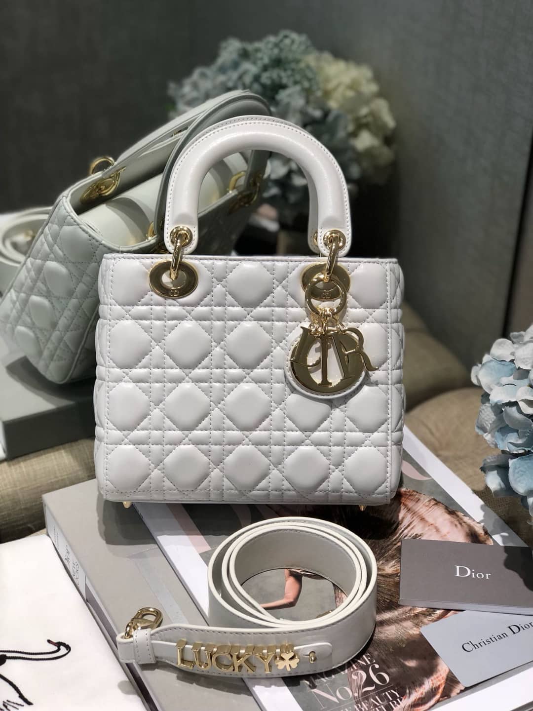 Chr1st1an D10r Lady D10r 20CM Replica Bag