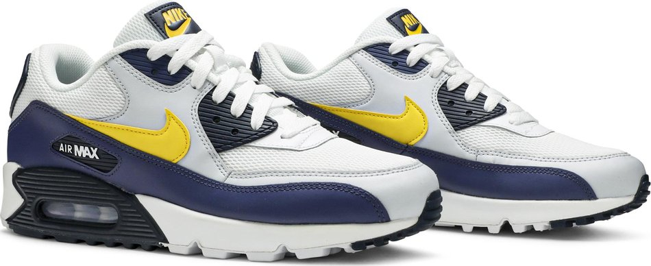 Air Max 90 Essential Michigan AJ1285-101
