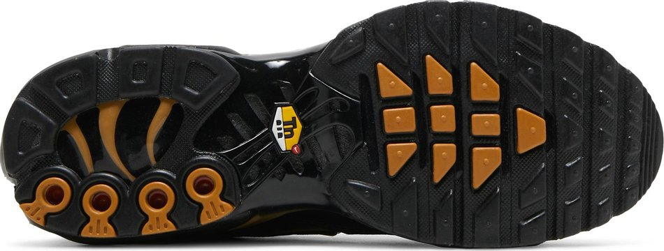 Air Max Plus Black Wheat DO6700-001