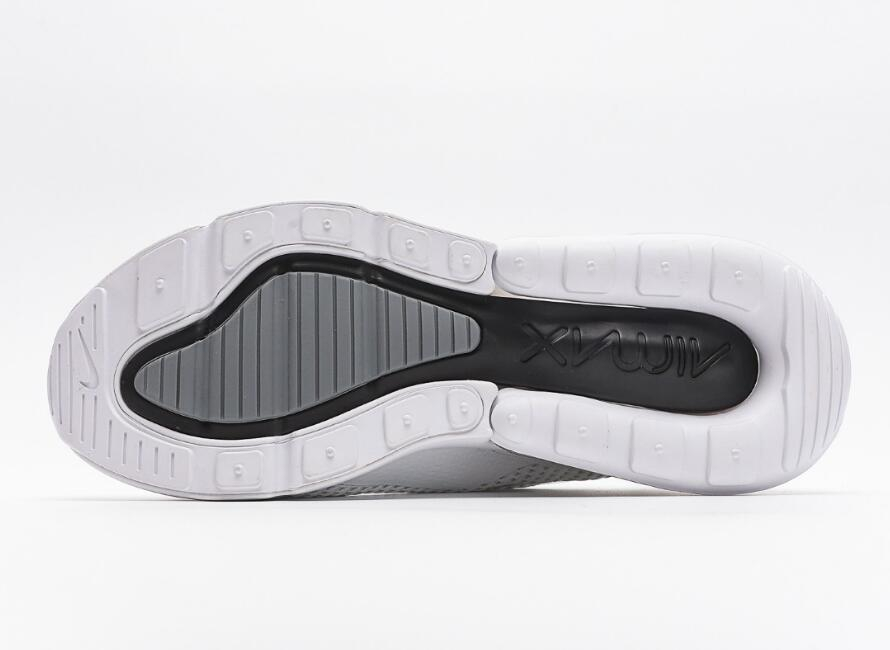 Air Max 270 Pure Platinum AQ9164-101