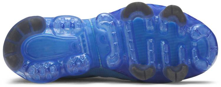 Air VaporMax 2019 Indigo Force AR6631-400