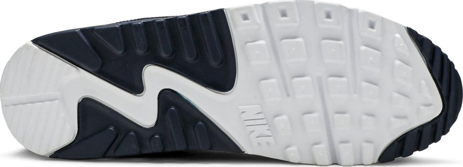 Air Max 90 Essential Michigan AJ1285-101