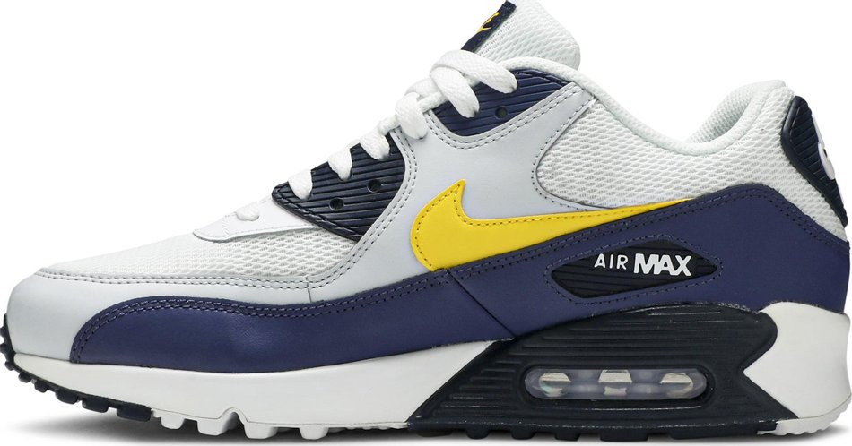 Air Max 90 Essential Michigan AJ1285-101