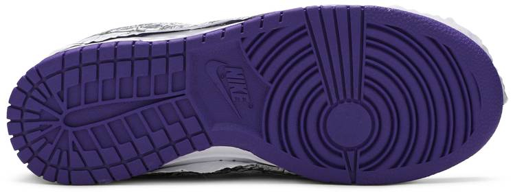 Wmns Dunk Low Flip The Old School DJ4636-100