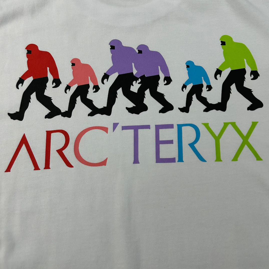 Arcteryx T Shirt