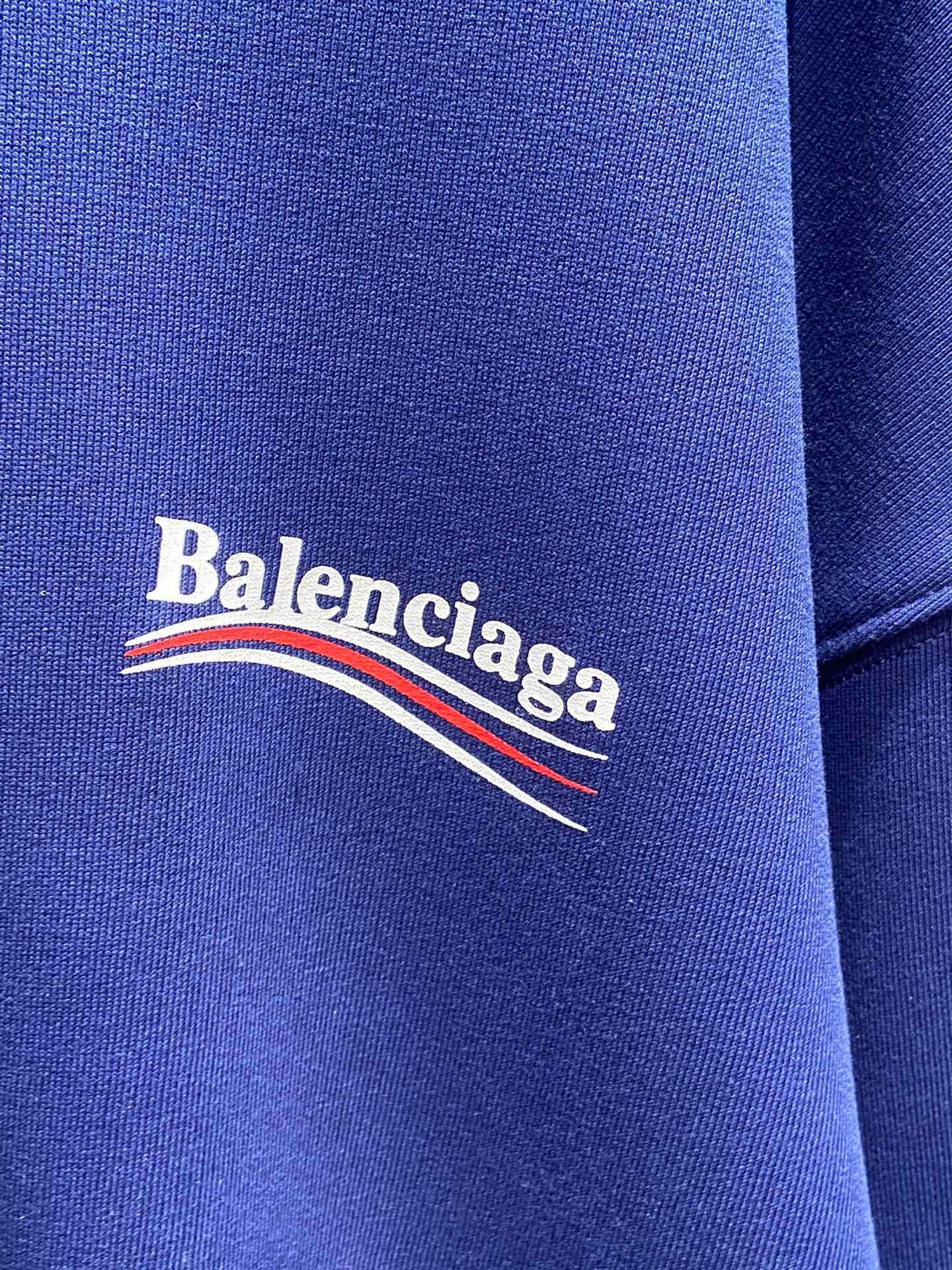 Ba1en*iaga Hoodie
