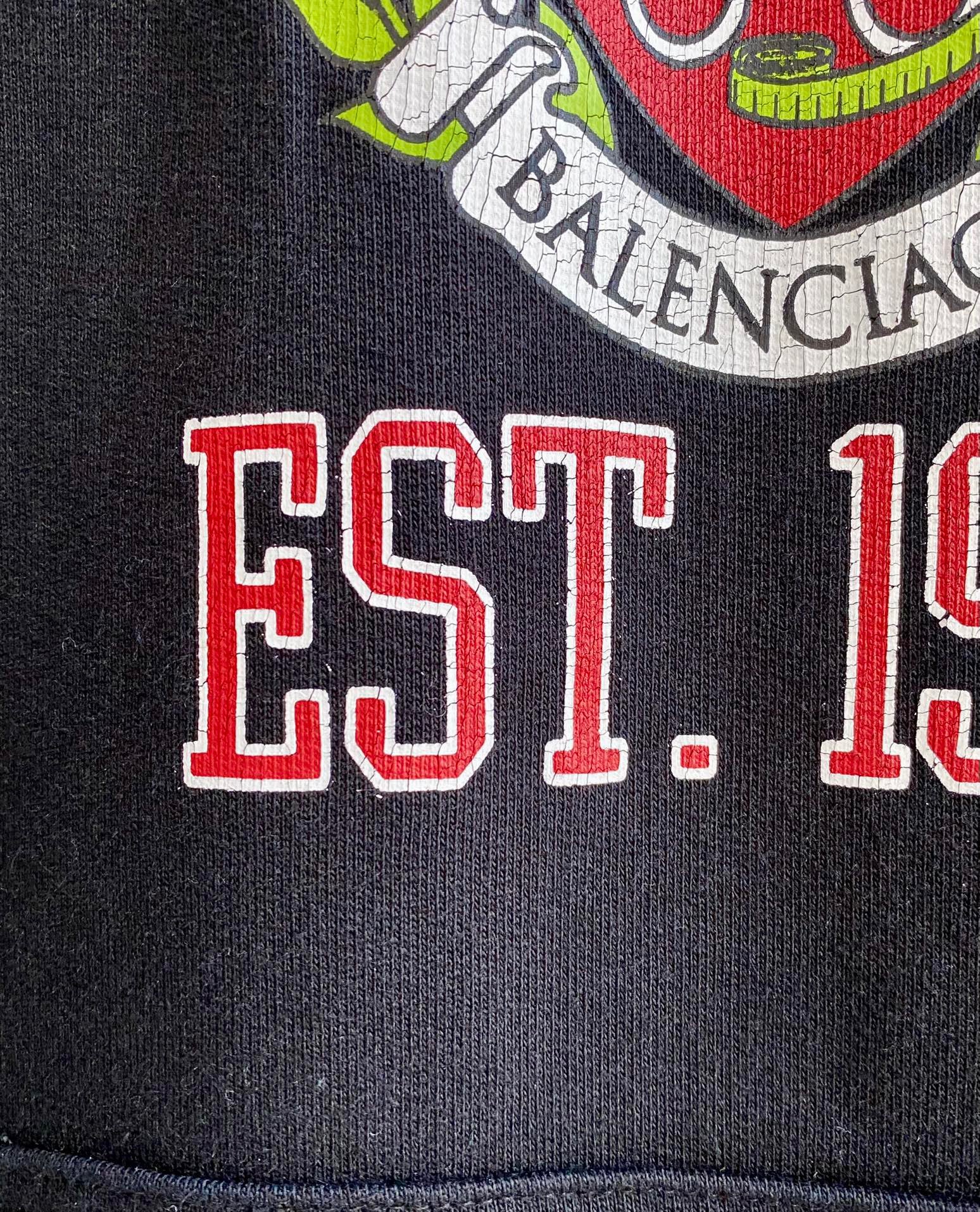 Ba1en*iaga Hoodie