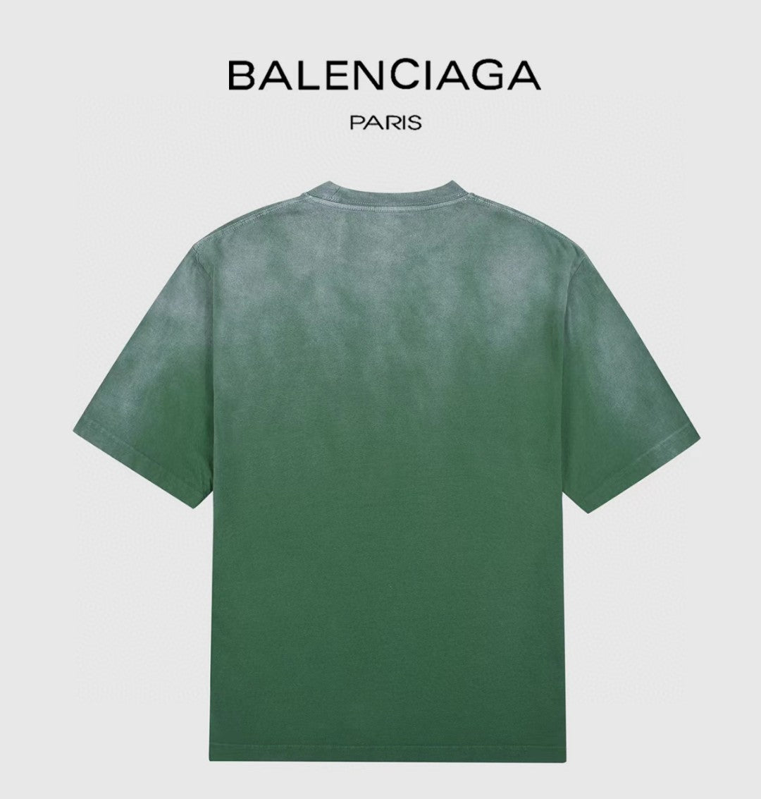 Ba1en*iaga T-shirt
