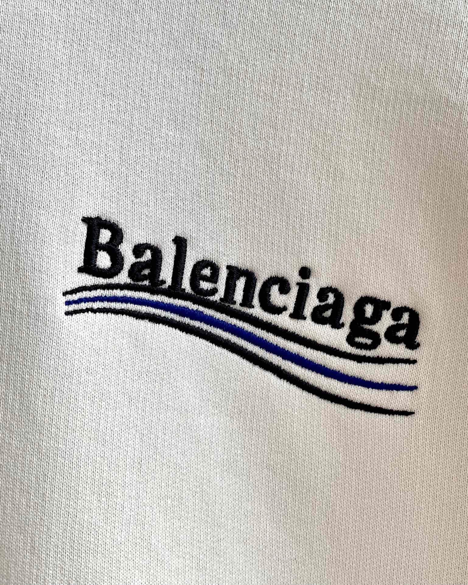 Ba1en*iaga Hoodie