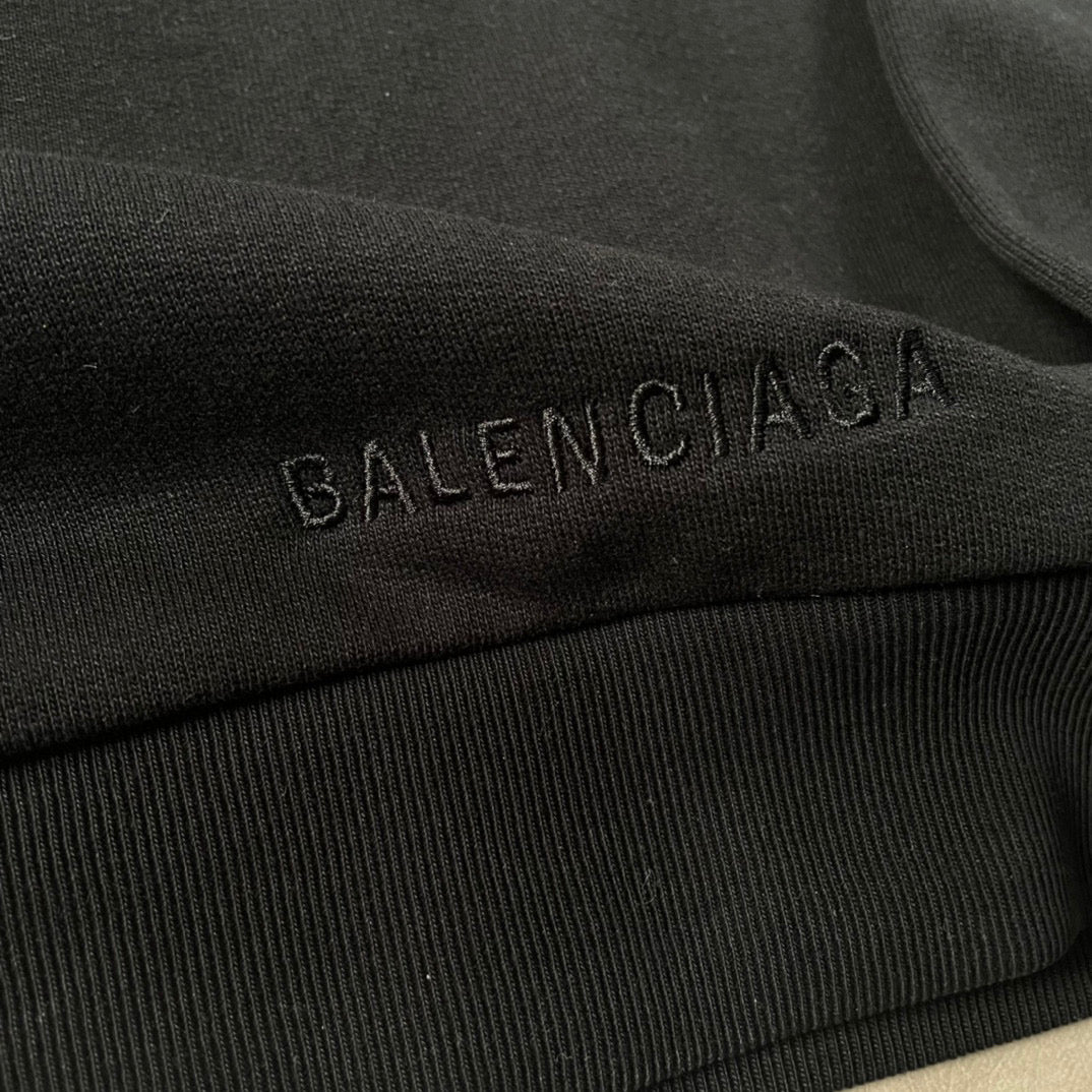 Ba1en*iaga Hoodie