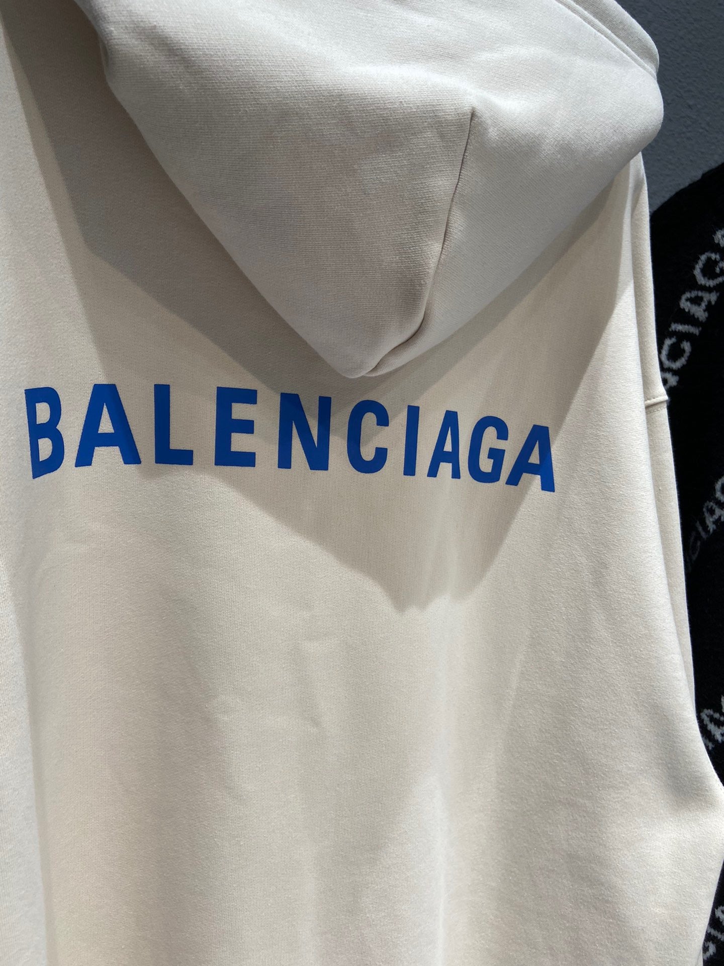 Ba1en*iaga Hoodie