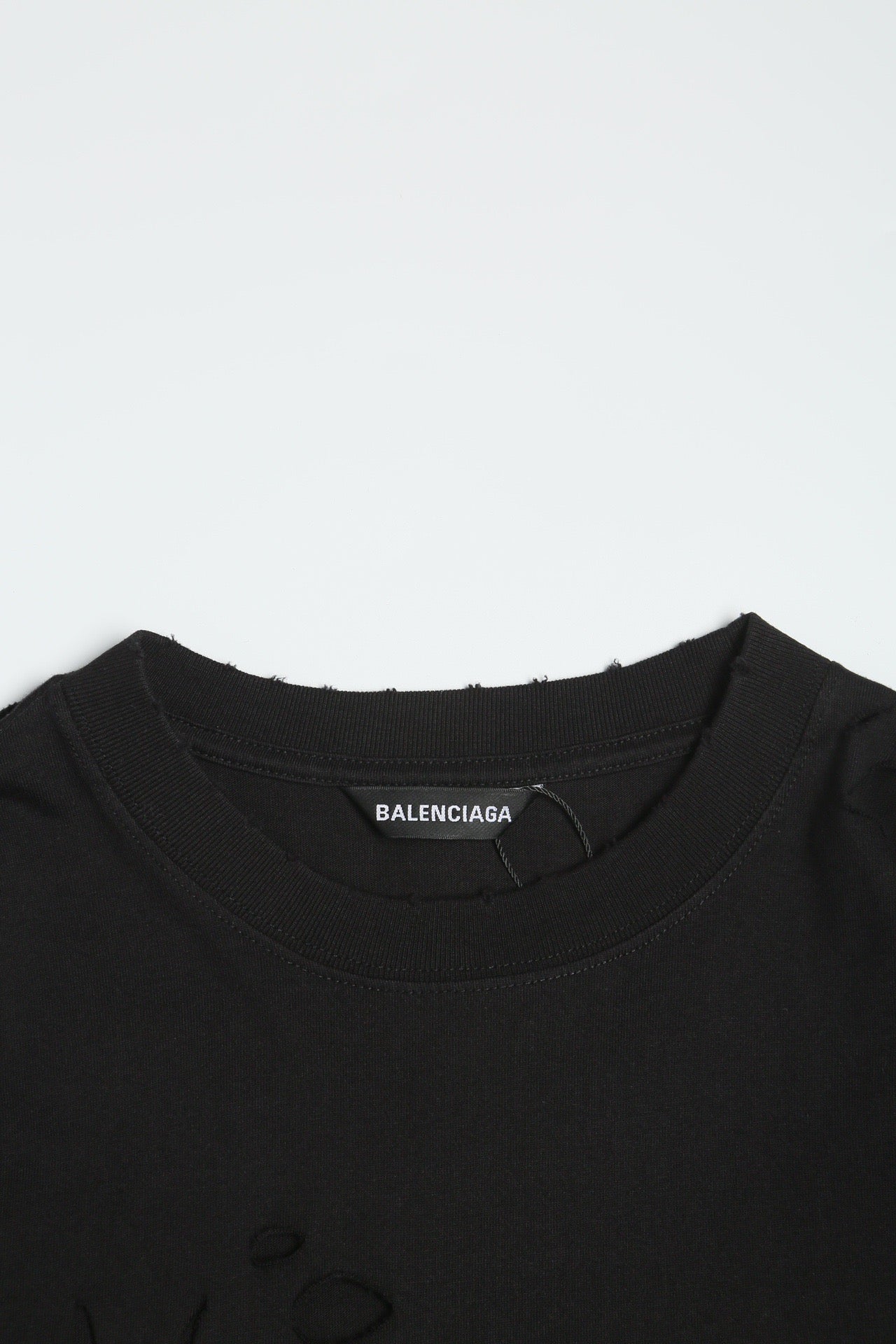 Ba1en*iaga T-shirt